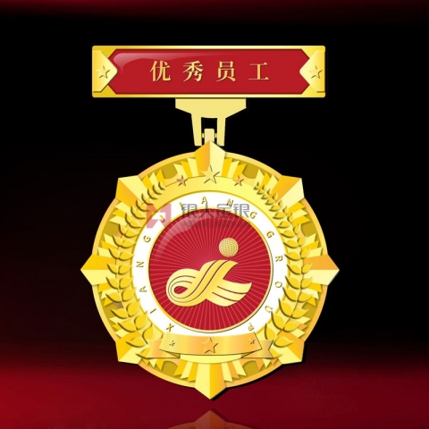 湖南長沙湘江集團優(yōu)秀員工獎?wù)录o(jì)念章
