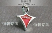世聯(lián)精英會紀(jì)念會徽,精英會純金純銀徽章